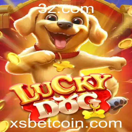 xsbet Bingo online